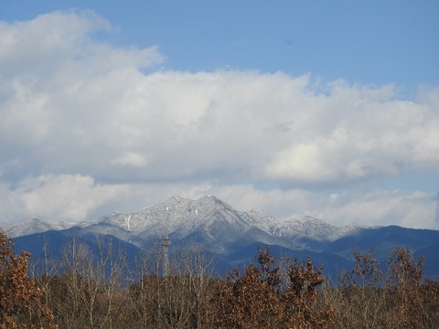 DSCN3809 (640x480)