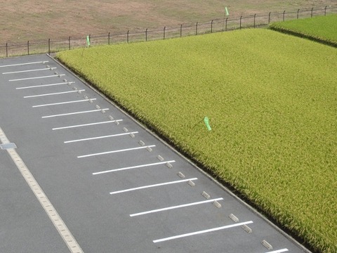 DSCN6044 (640x480)