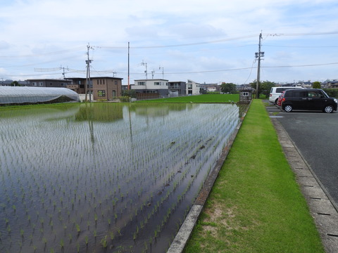 DSCN3001