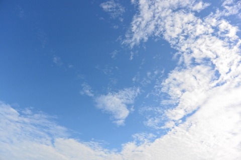 DSC_3812 (640x427)