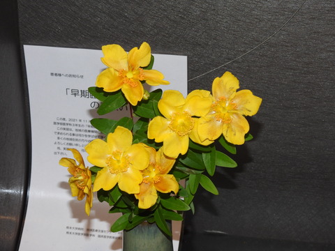 DSCN0824
