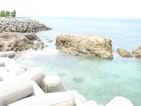 DSCN5423