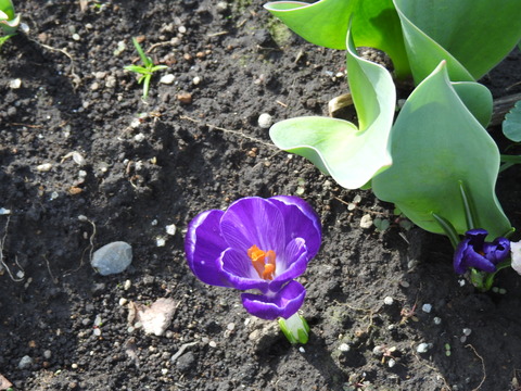 DSCN5158