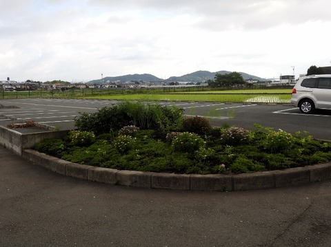 DSCN8467 (640x479)