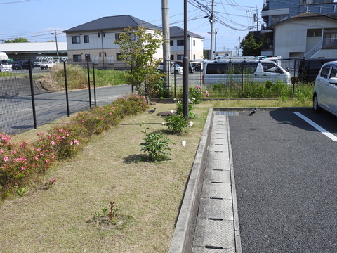 DSCN2507