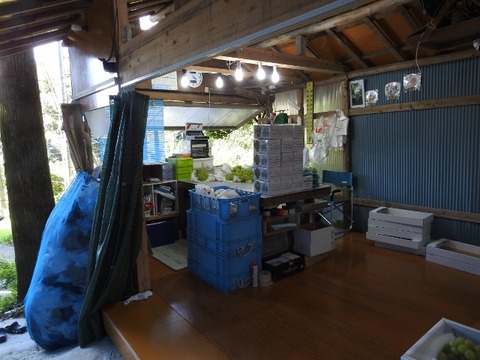DSCN5715 (640x480)