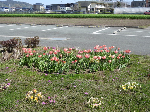 DSCN5314