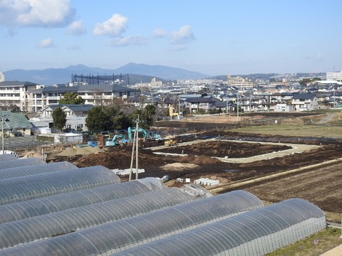 DSCN3798 (640x480)