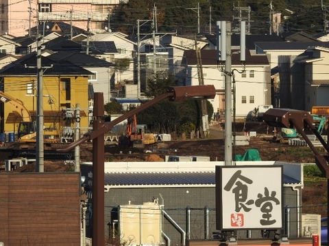 DSCN6549 (640x480)