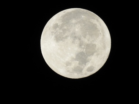 DSCN0124 (640x480)