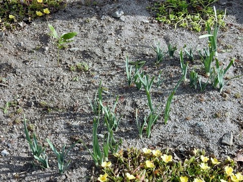 DSCN0228 (640x480)
