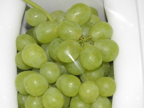 DSCN5717 (640x480)