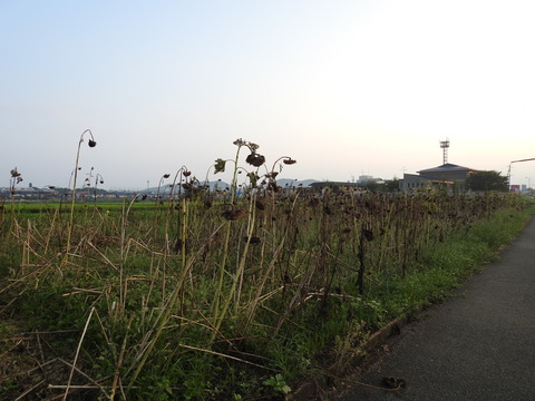 DSCN3195