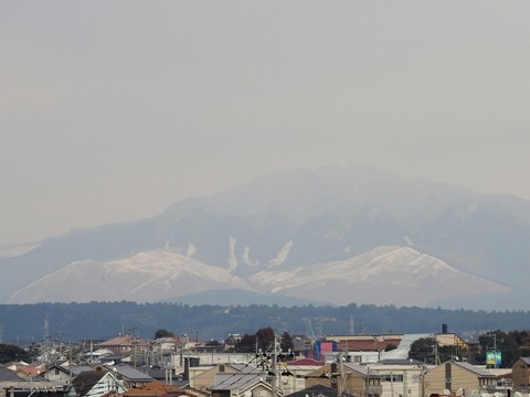 DSCN6967 (640x480)