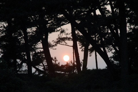 DSC_0001 (640x425)