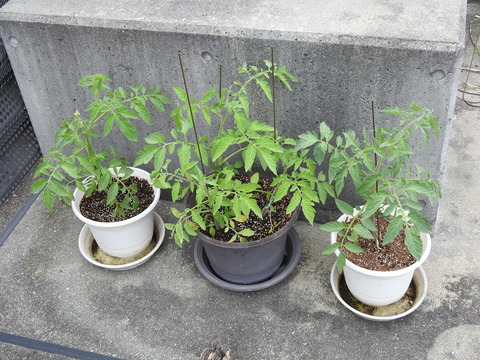 DSCN2670