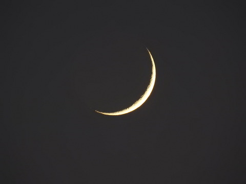 DSCN3919