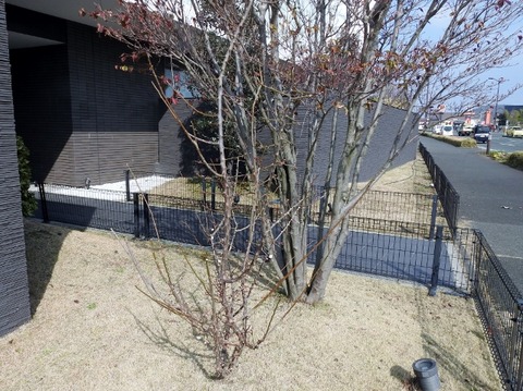 DSCN3689 (640x479)