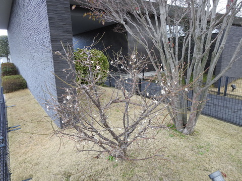 DSCN4669