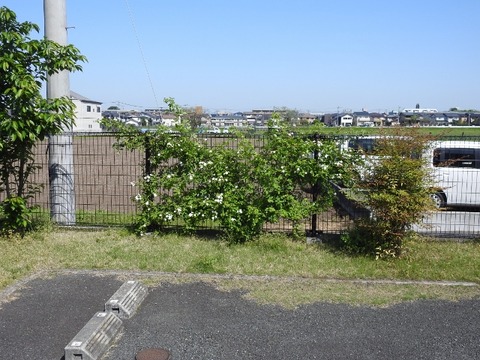 DSCN7902 (640x480)