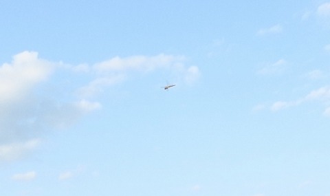 DSCN5953 (640x380)