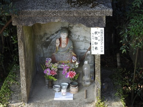 DSCN7388 (640x480)
