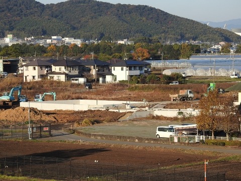 DSCN6548 (640x480)