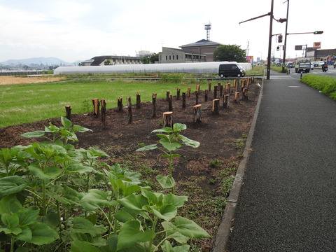 DSCN2580