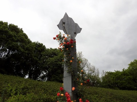 DSCN7978 (640x480)