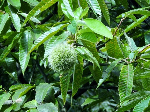 DSCN9104 (640x480)
