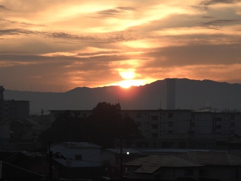 DSCN3373 (640x480)