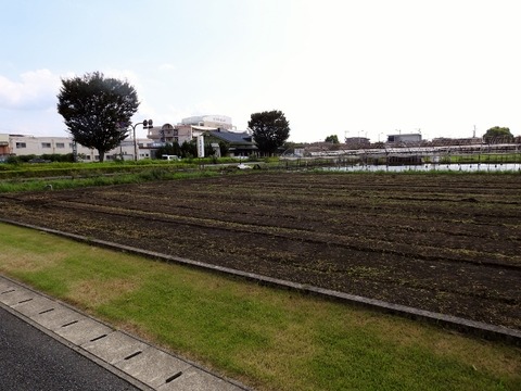 DSCN5669 (640x480)