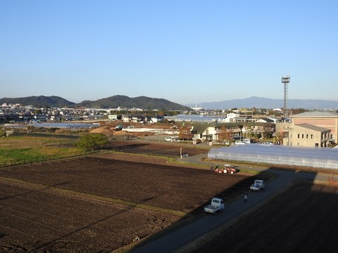 DSCN6547 (640x480)
