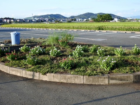DSCN5958 (640x480)