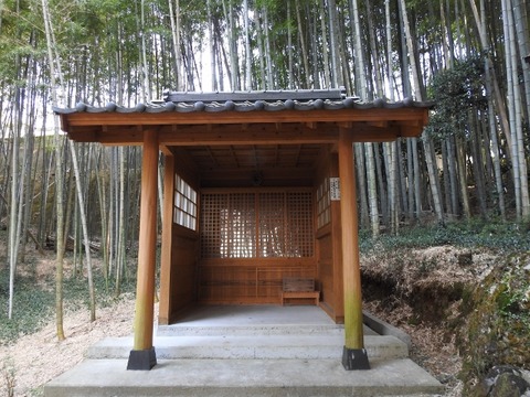 DSCN7385 (640x480)