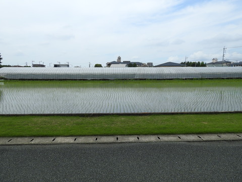 DSCN3000