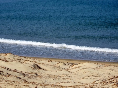 DSCN0931 (640x480)