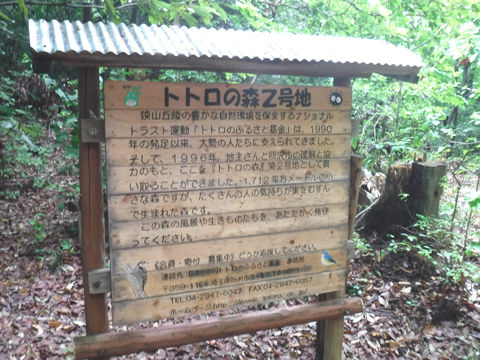 荒畑富士 トトロの森 八国山 狭山丘陵ハイキング Yumepalletのblog 荒畑富士 トトロの森 八国山 狭山丘陵ハイキング Yumepalletのblog