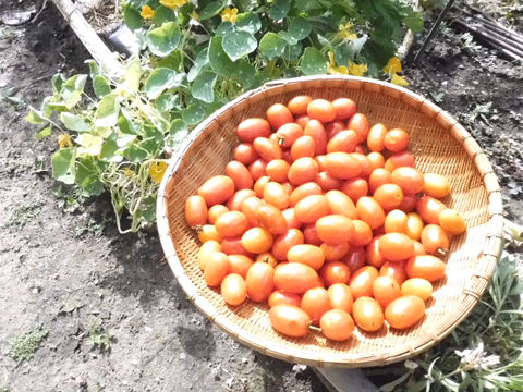 DSCF7532s