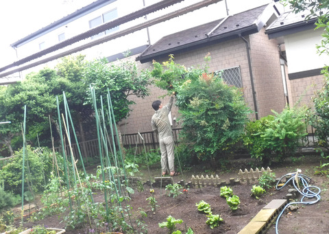 DSCF9865s