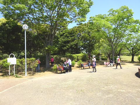 DSC00774s