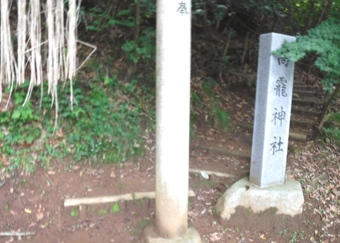 DSCF0324s