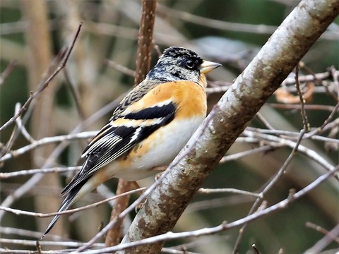 220202ｱﾄﾘ♂③