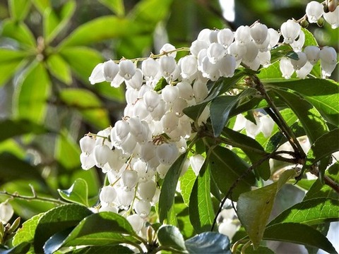 200218ｱｾﾋﾞ①