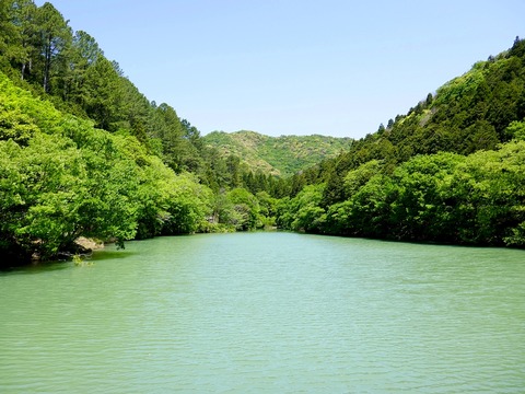 0511通宝寺池