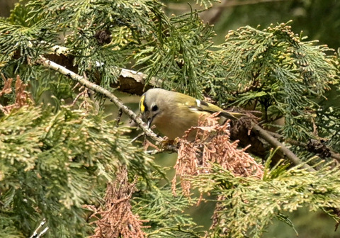 260128ｷｸｲﾀﾀﾞｷ②