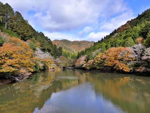 1124通宝寺池①