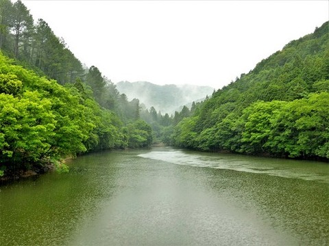 0627通宝寺池