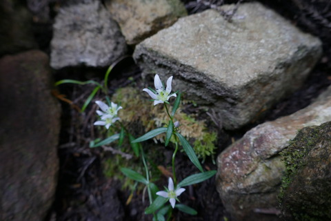 P1040304
