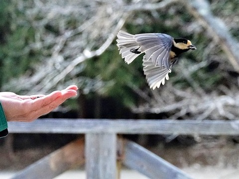 200218ﾔﾏｶﾞﾗ⑥